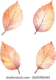 Autumn Watercolor Leaves - Orange and Yellow Foliage vector illustration