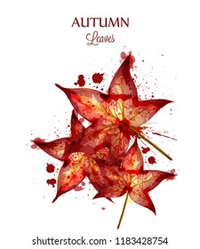 Autumn watercolor leaves Vector isolated on white background. Fall banner template. Red Golden colors