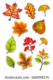 autumn watercolor leaves vector set illustration