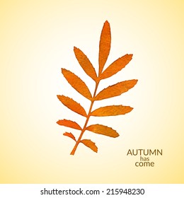 Autumn watercolor rowan leaf, isolated vector illustration