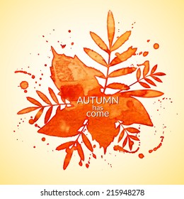 Autumn watercolor rowan leaves and spray, isolated vector illustration