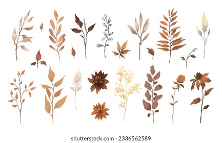 Autumn watercolor vector elements for fall season decor. Flowers, leaves and branches in brown colors isolated on white background