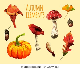 Autumn watercolor vector elements set