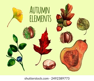 Autumn watercolor vector nature elements set