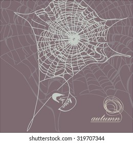 Autumn web against a dark background with the falling leaf