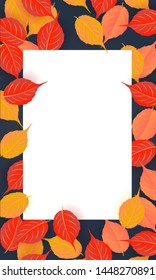 Autumn web banner template.vector illustration