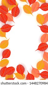 Autumn web banner template.vector illustration