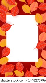 Autumn web banner template.vector illustration