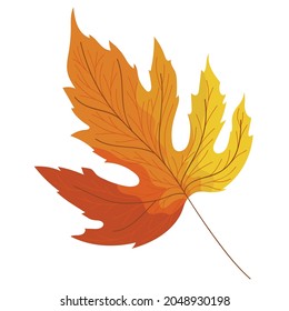 hoja de cama de otoño sobre blanco