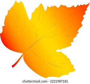 autumn wedge leaf. Vector illustration 