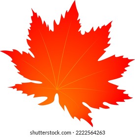 Autumn wedge leaf. Vector illustration 