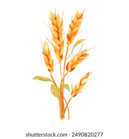 Autumn Wheat Watercolor Illustration Beautifully Capturing the Harvest Season