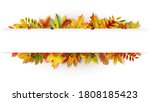 Autumn white banner decorated with fallen leaves
