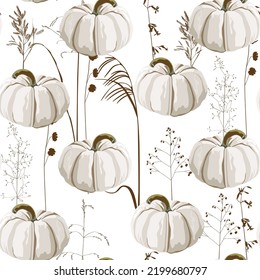 Autumn white pumpkin and brown herbs seamless pattern. White background.