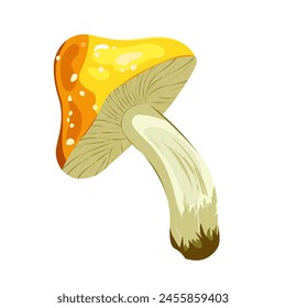 Autumn wild mushroom. Raw forest edible and poisonous mushrooms. Assortment of poster and banner designs for gourmets, diets, cooking. Bright vector isolated icon.