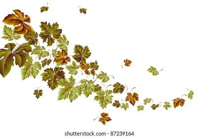 Autumn wind- leaves falling, vector
