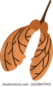 Autumn winged maple seed isolated on white background. For background, texture, wrapper pattern, frame or border.