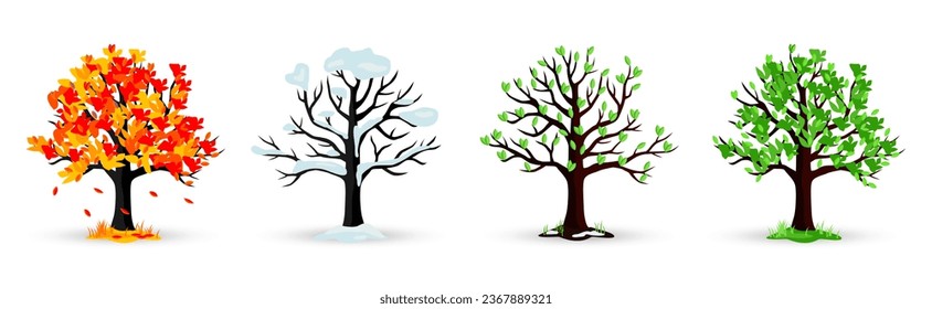Autumn, winter, spring, summer tree collection with shadow. Seasons of tree. Four seasons trees. Cartoon tree collection