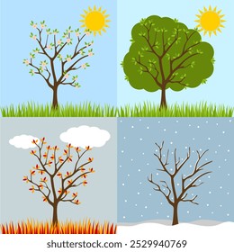 Autumn, winter, spring, summer tree collection with shadow. Seasons of tree. Four seasons trees. Cartoon tree collection