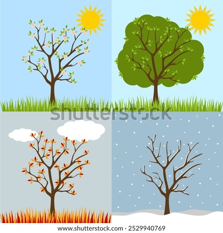 Autumn, winter, spring, summer tree collection with shadow. Seasons of tree. Four seasons trees. Cartoon tree collection