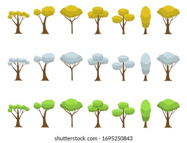 Autumn, winter and spring trees. Forest trees, nature concept