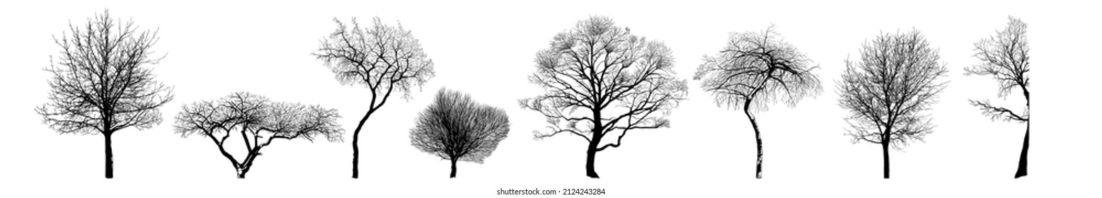 
 Autumn or winter tree silhouettes collection. Set of isolated vector design elements.
  Hand drawn  illustration in sketch style.  Nature template. Clipart.
