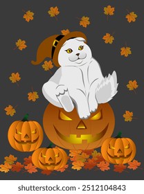 Autumn Witch Cat on Pumpkins, Perfect for Halloween Invitations and Decorations, social media graphics, cards, holiday decorations, merchandise designs, 