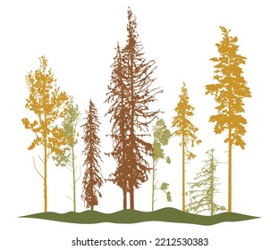 Autumn Woodland, Silhouette Of Bare Tree, Trees With Leaves And Spruces Tree And Pines. Vector Illustration