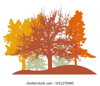 Autumn woodland, silhouette of oak, linden, poplar, spruce trees. Beautiful nature, landscape. Vector illustration