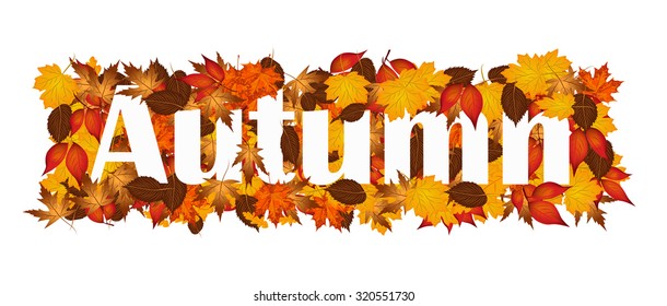 Autumn word on autumn leaves