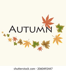 

Autumn Wording and fallen leaves