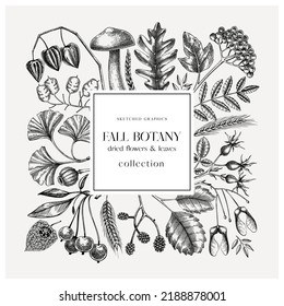 Autumn wreath with fall leaves and dried flowers. Thanksgiving banner design. Fall card or invitation. Sketched dried herbs, falling leaves, mushrooms, seeds frame. Black and white illustration