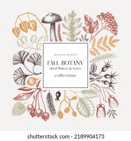 Autumn wreath with fall leaves and dried flowers. Thanksgiving banner design. Fall card or invitation. Sketched dried herbs, falling leaves, mushrooms, seeds frame. Colorful botanical  illustration