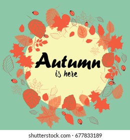 Autumn wreath made from the red leaves with rose hips. Vector illustration on green background. Autumn is here