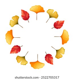 Autumn wreath, round frame of red tree leaves and yellow and green ginkgo leaves on white background. Empty space for text. Design element for Thanksgiving, fall sale, seasonal cards and posters.