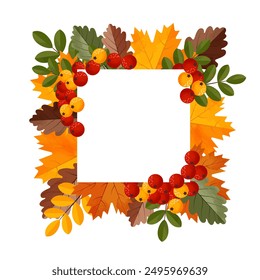 Autumn wreath. Square frame with leaves, rowan tree and space for text. Isolated vector illustration