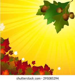 Autumn Yellow Background with Acorn and Leafs