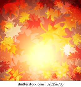 Autumn yellow background with leaves