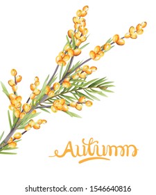 Autumn yellow berries branch with green leaves. Seasonal vector
