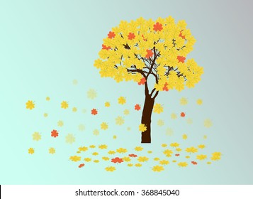 autumn yellow chestnut tree and falling leaves
