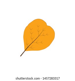 autumn yellow color leaf illustration
