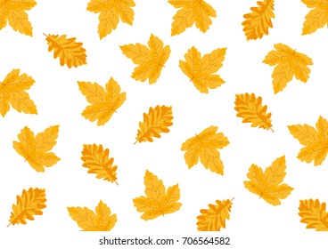 Autumn Yellow Different Leaves Vector Rectangle - White background