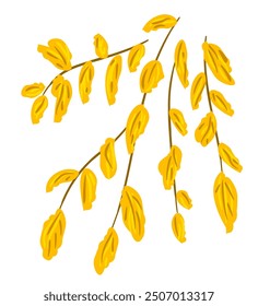 Autumn yellow foliage, hanging branches, golden leaves. Vegetation and nature. Simple color vector illustration.