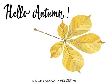 Autumn yellow leaf of a chestnut isolated on white background. Vector