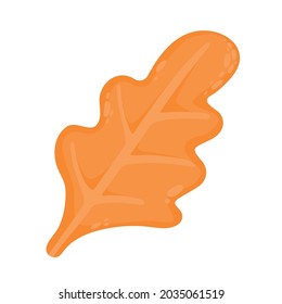 Autumn yellow Leaf isolated on White Background. Vector Illustration. Autumn Design Collection