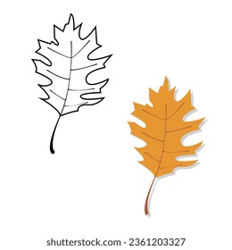 Autumn yellow Leaf Vector Illustration 