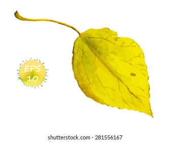 Autumn yellow leaf. Watercolor vector