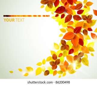 autumn yellow leaves background