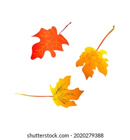 Herbstgelbe Blätter. Vektorgrafiken. weißer Hintergrund.
