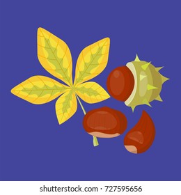 Autumn yellow maple leaf season nature color plant vector illustration.